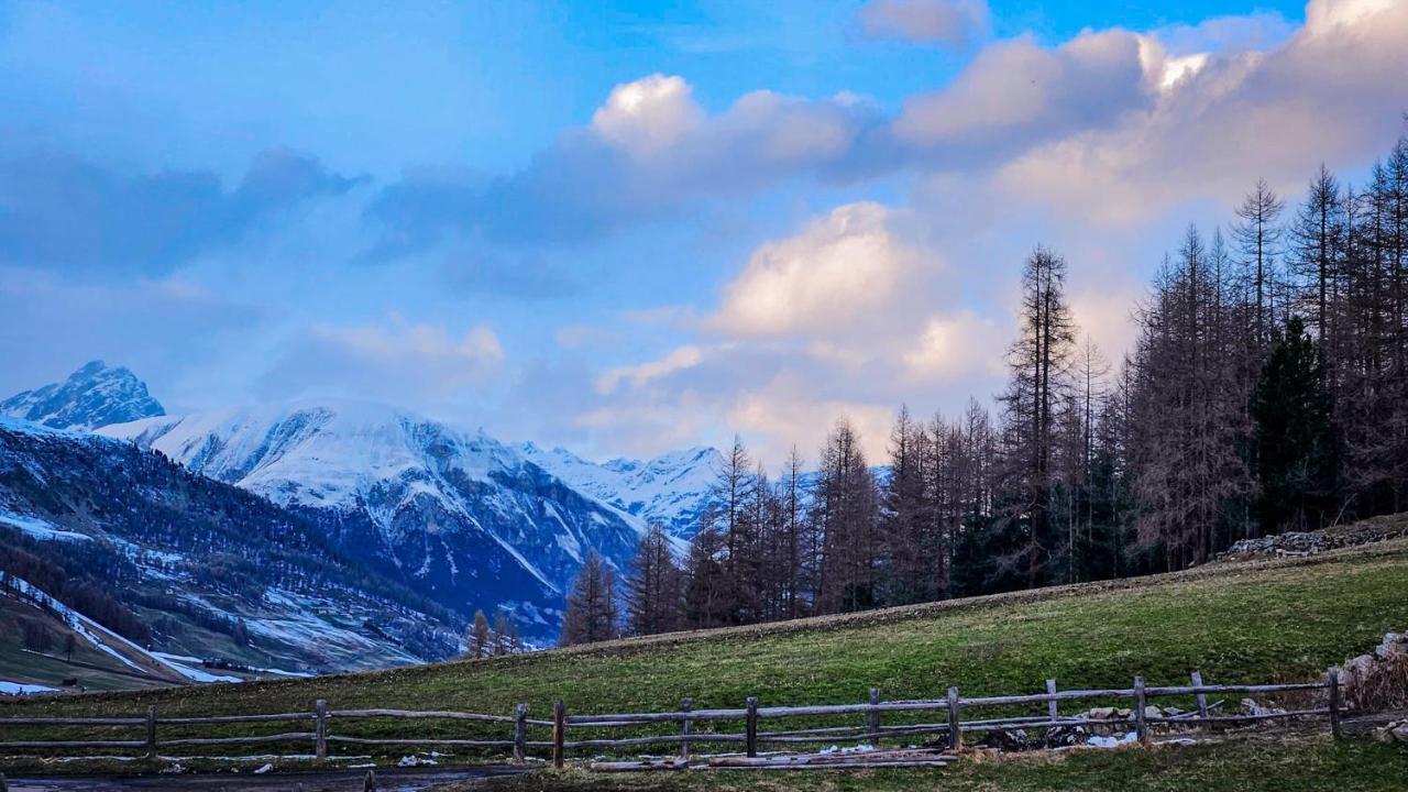 리비뇨 Agriturismo Bosco D'Oro 1 아파트 외부 사진