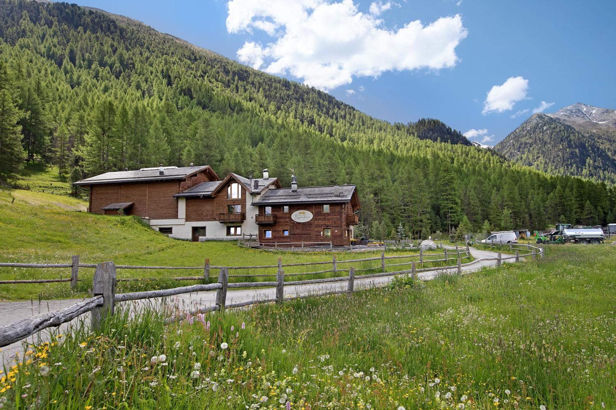 리비뇨 Agriturismo Bosco D'Oro 1 아파트 외부 사진